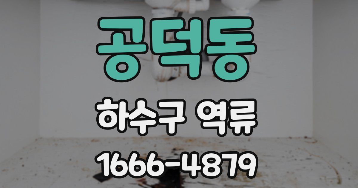 공덕동 하수구 역류