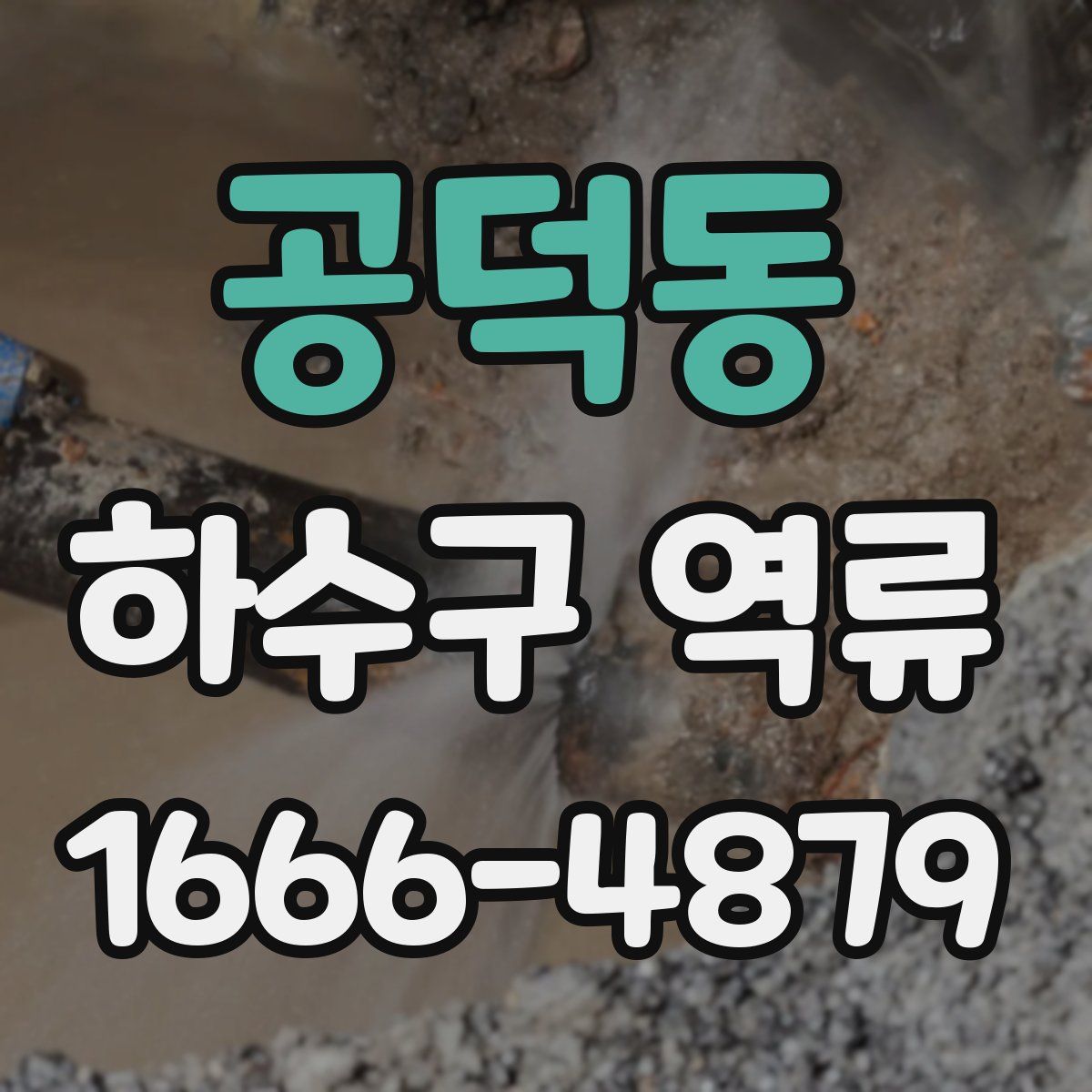 공덕동 하수구 역류