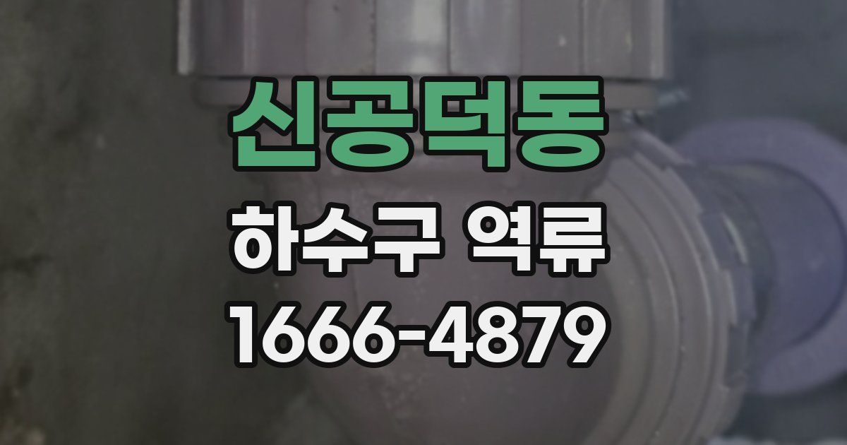 신공덕동 하수구 역류