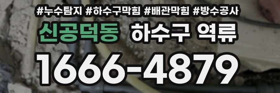 신공덕동 하수구 역류