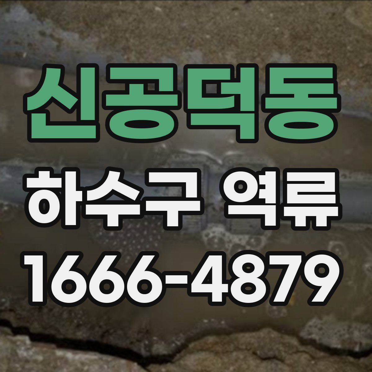 신공덕동 하수구 역류