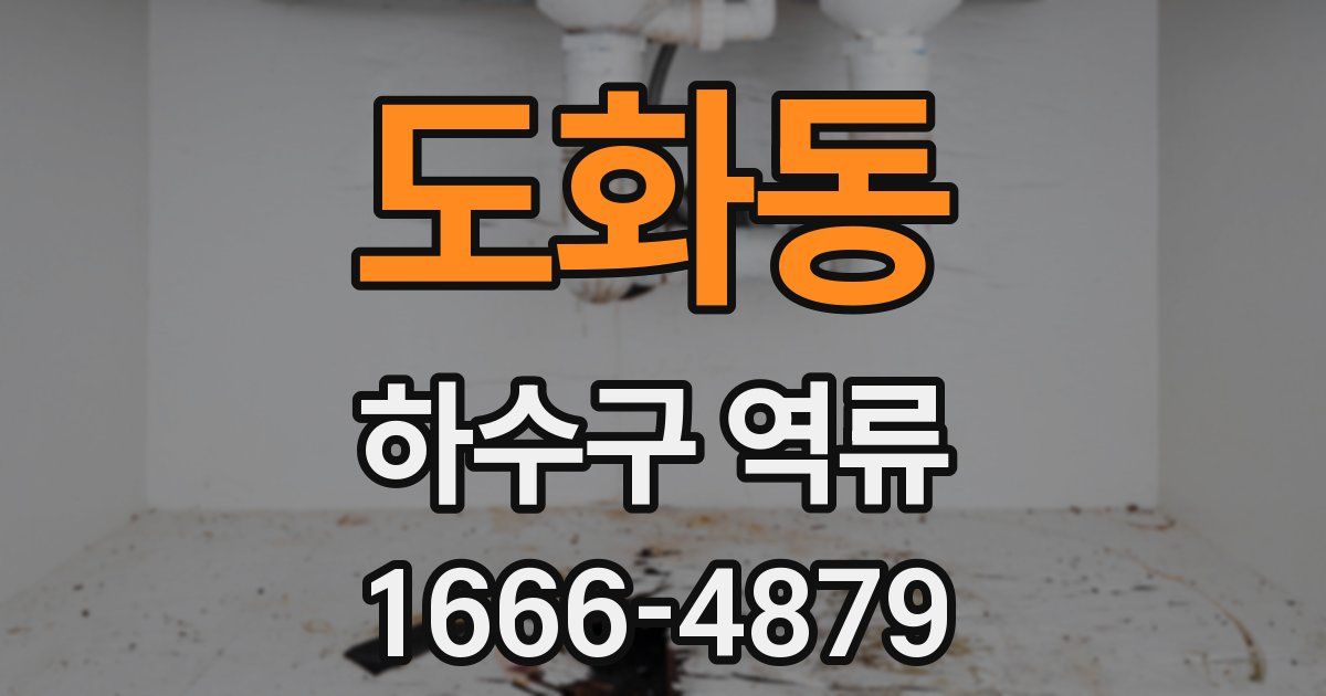 도화동 하수구 역류