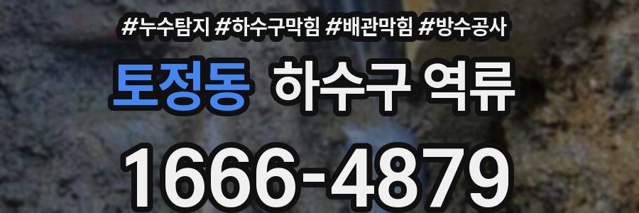 토정동 하수구 역류