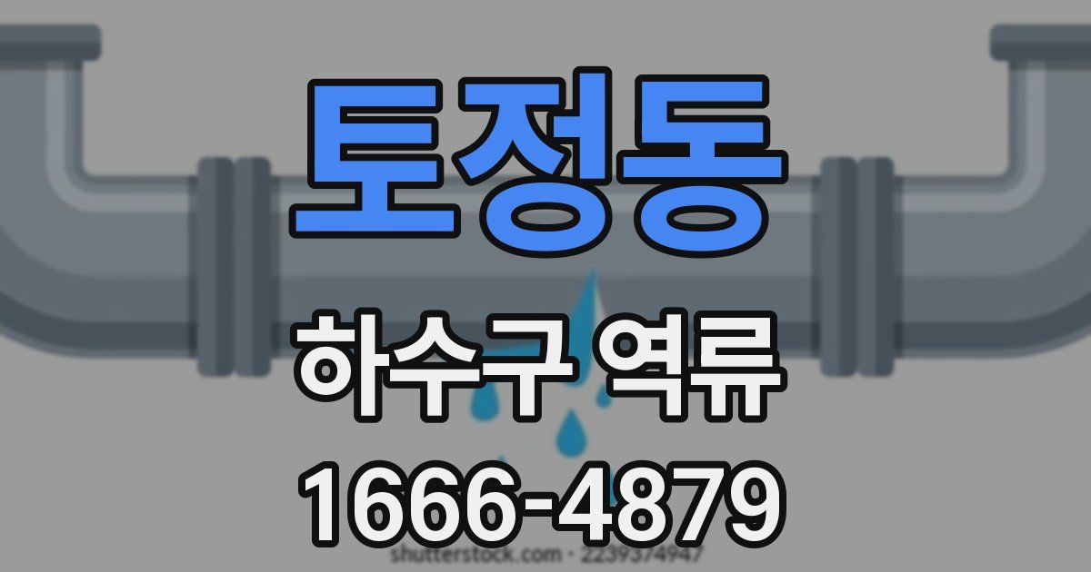 토정동 하수구 역류