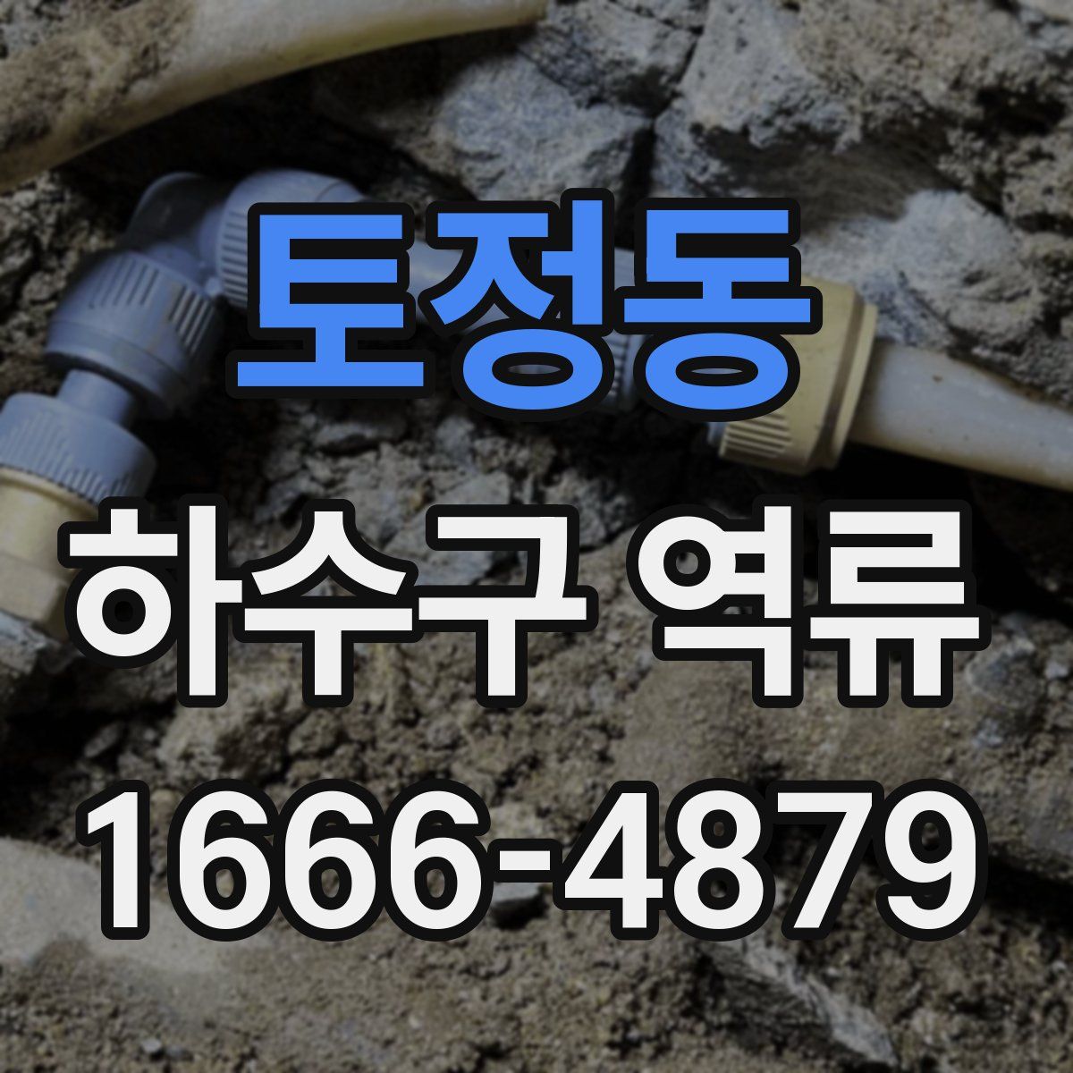 토정동 하수구 역류