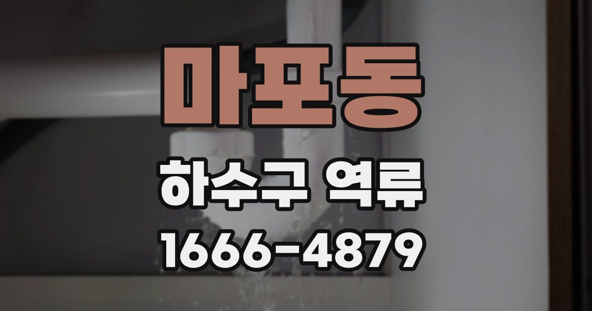 마포동 하수구 역류