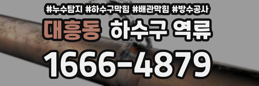 대흥동 하수구 역류