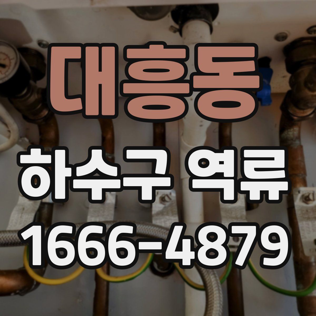 대흥동 하수구 역류