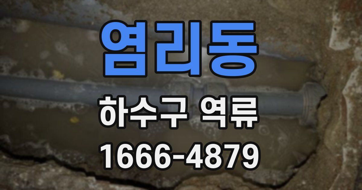 염리동 하수구 역류