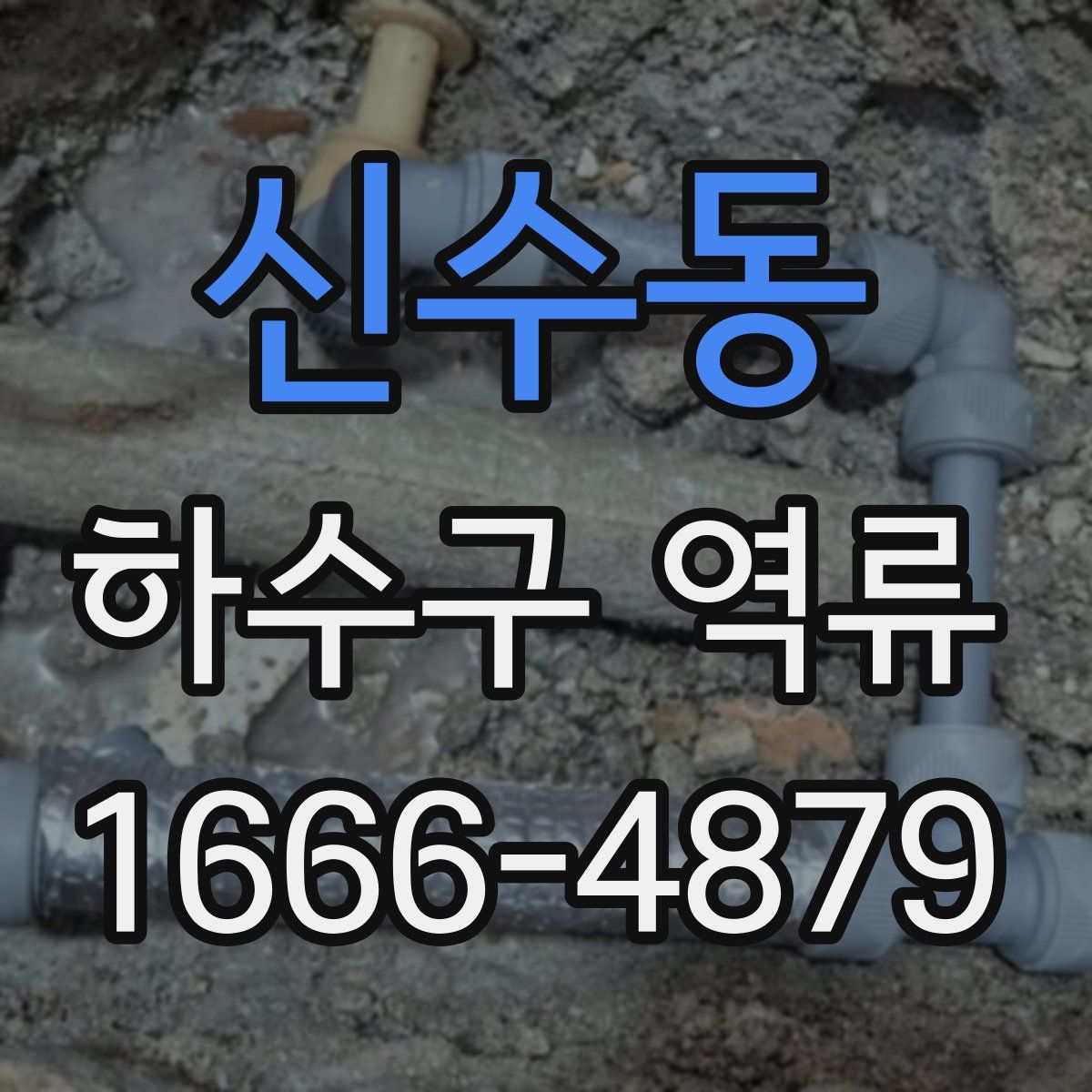 신수동 하수구 역류