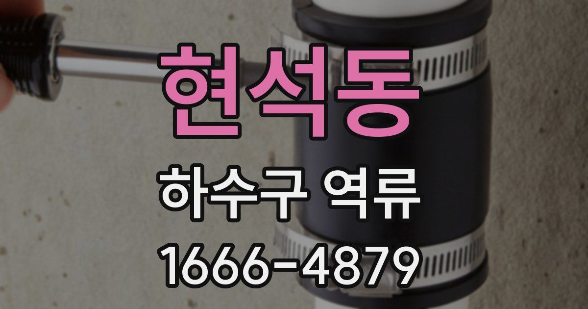 현석동 하수구 역류