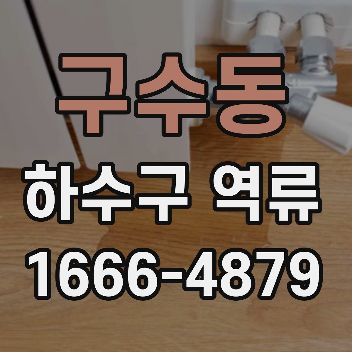 구수동 하수구 역류