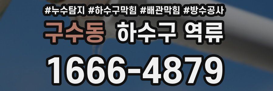 구수동 하수구 역류