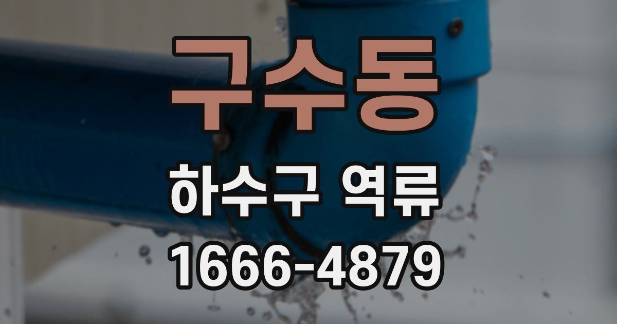 구수동 하수구 역류
