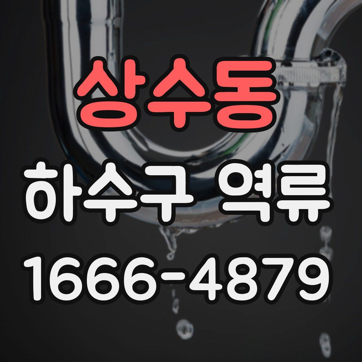상수동 하수구 역류