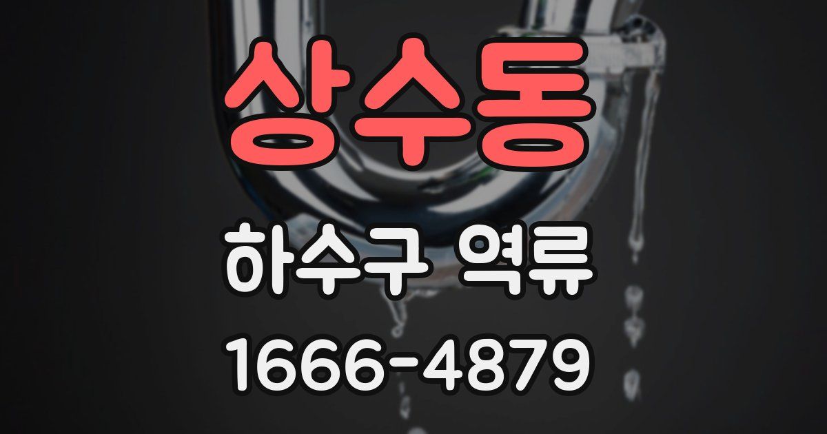 상수동 하수구 역류