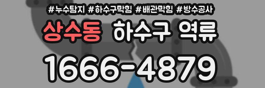 상수동 하수구 역류