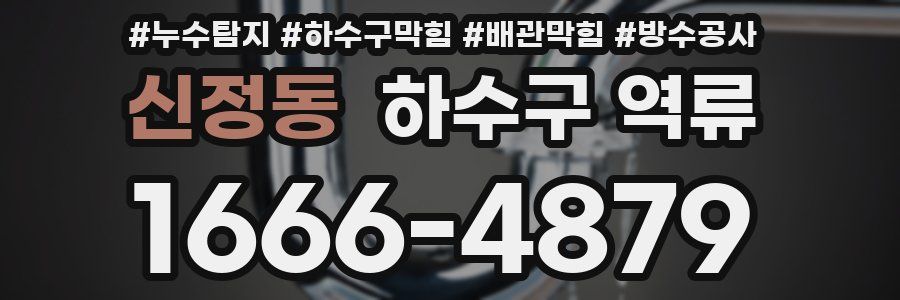 신정동 하수구 역류