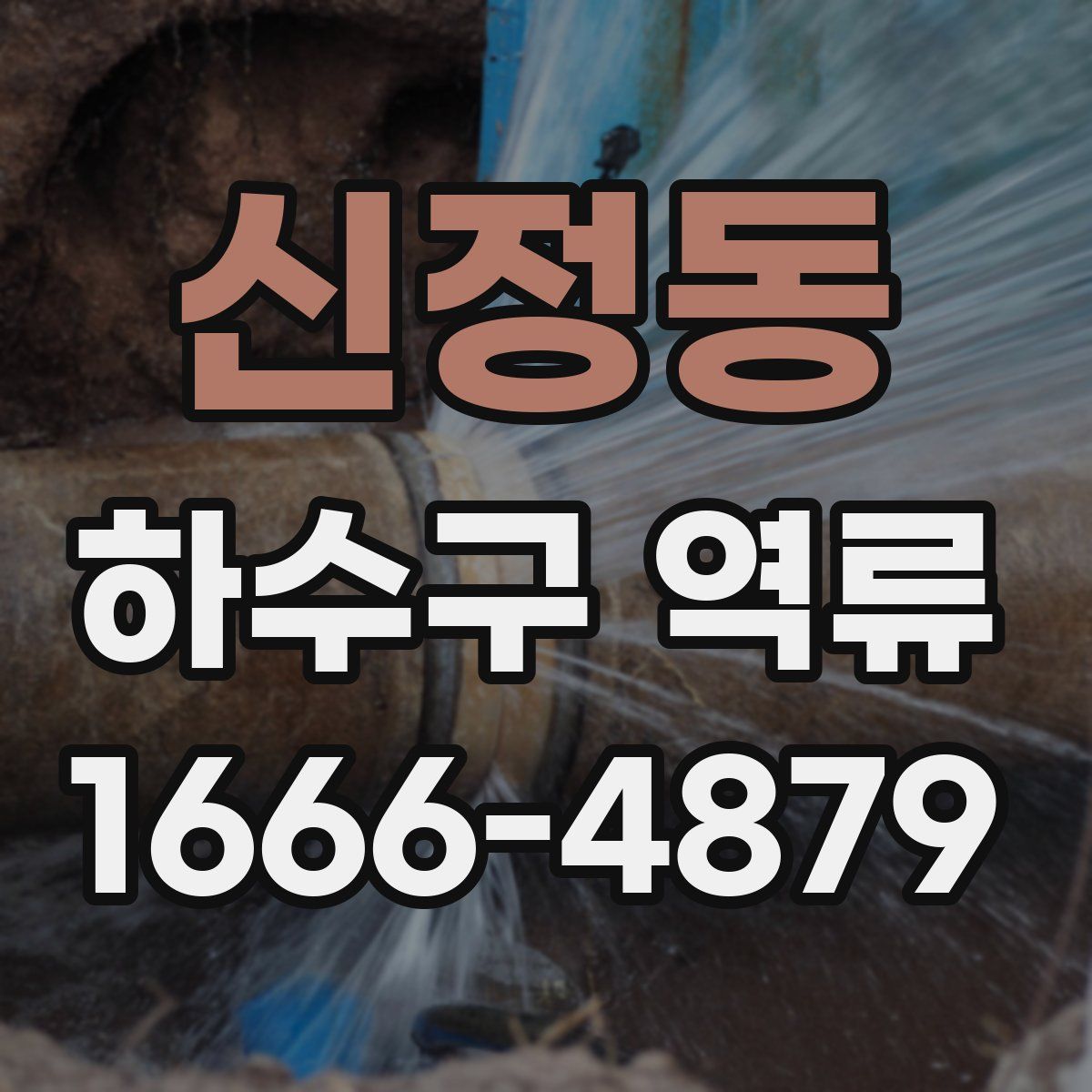 신정동 하수구 역류