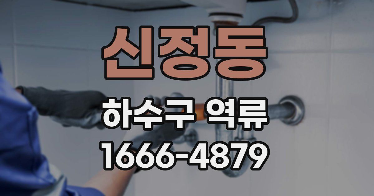 신정동 하수구 역류