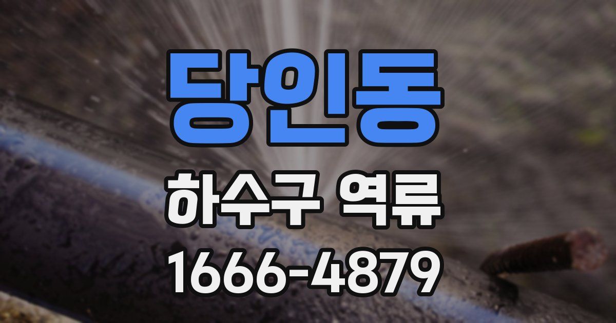 당인동 하수구 역류