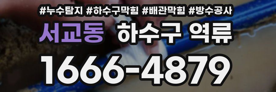 서교동 하수구 역류