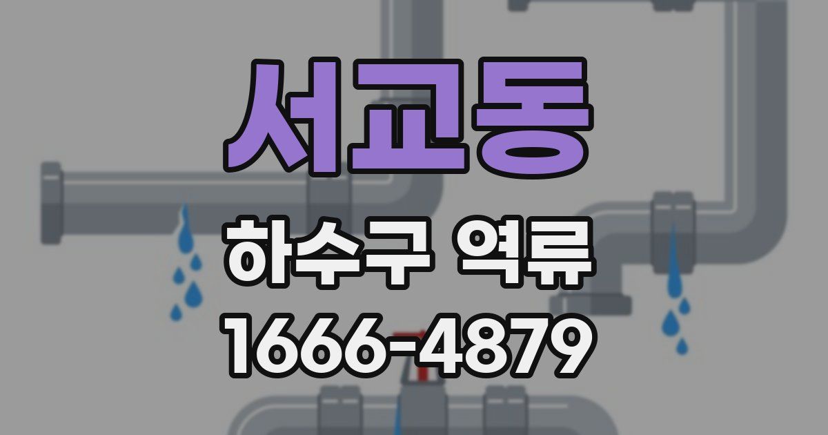 서교동 하수구 역류