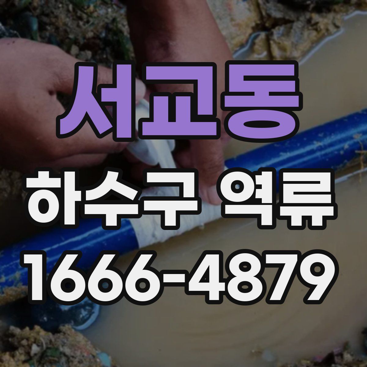 서교동 하수구 역류