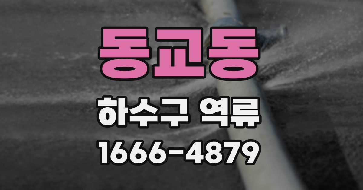 동교동 하수구 역류
