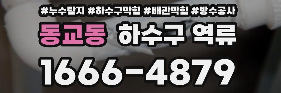 동교동 하수구 역류