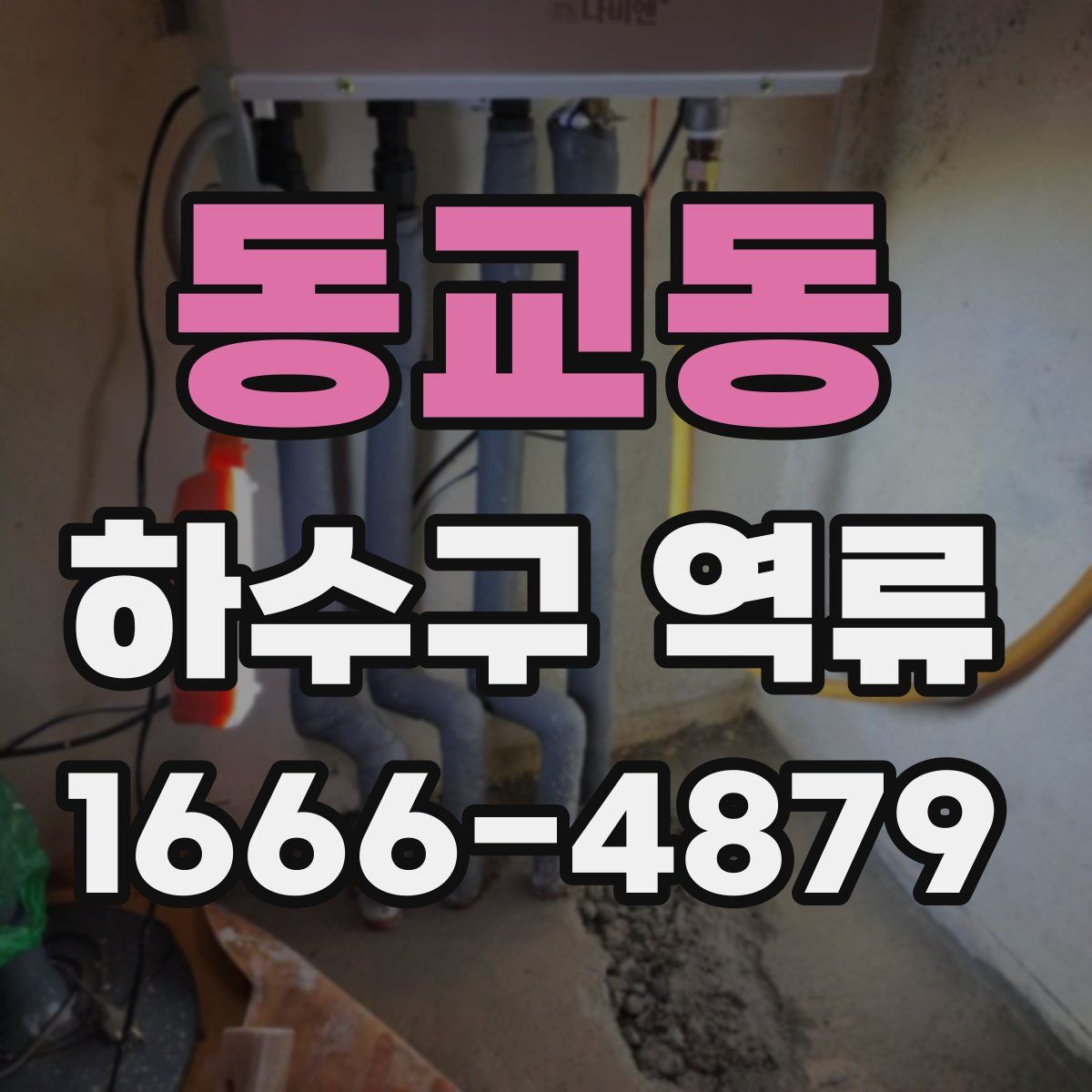 동교동 하수구 역류