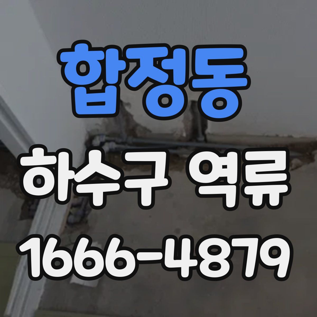 합정동 하수구 역류