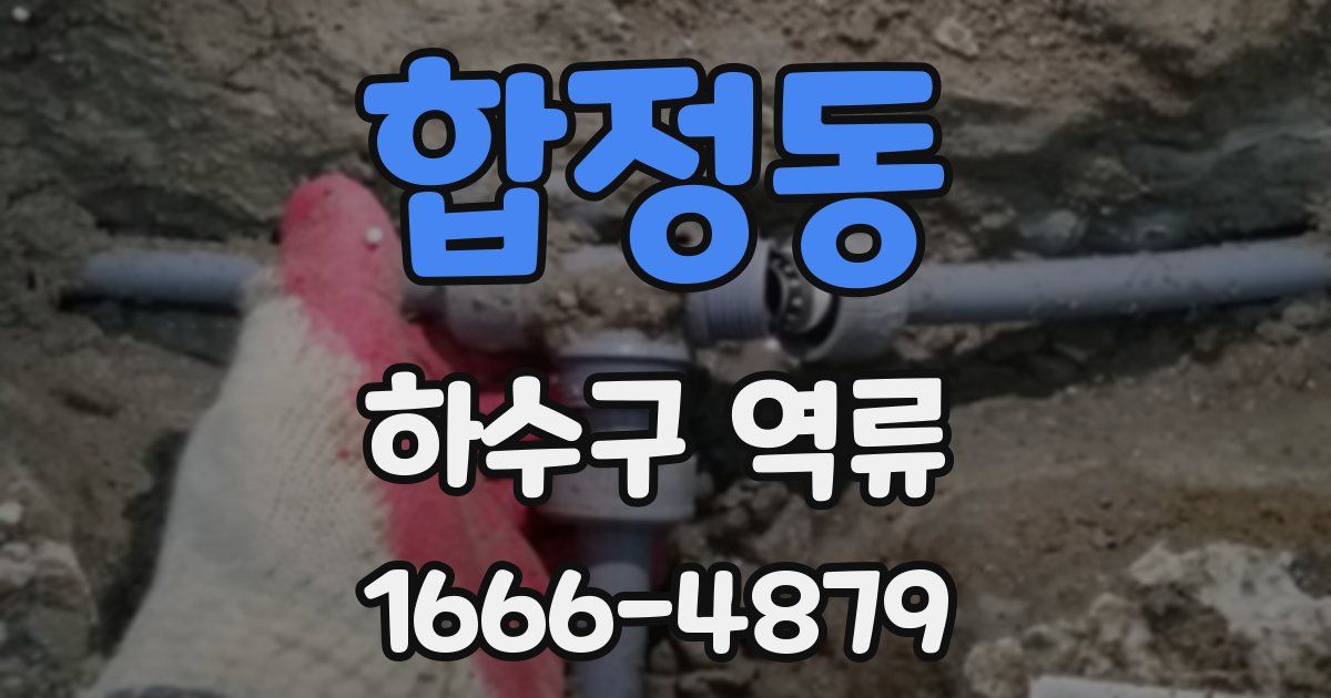 합정동 하수구 역류