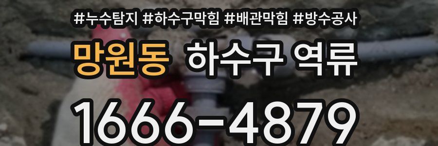 망원동 하수구 역류