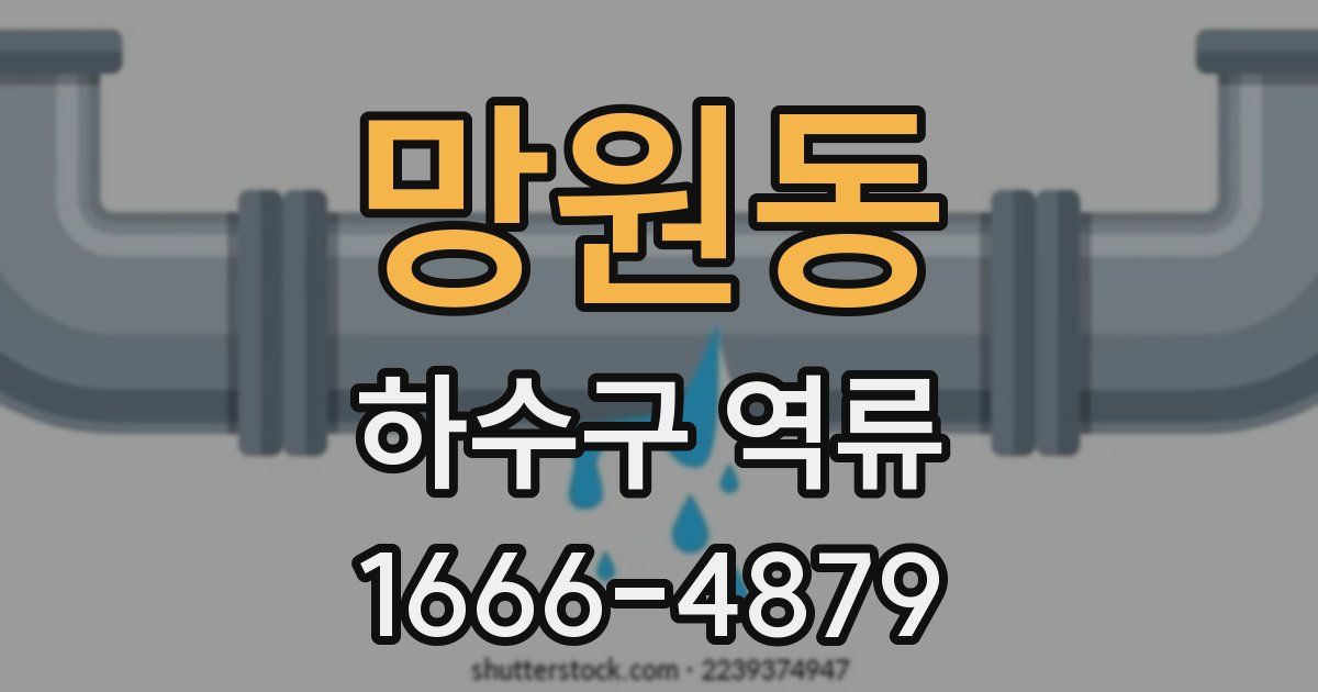 망원동 하수구 역류