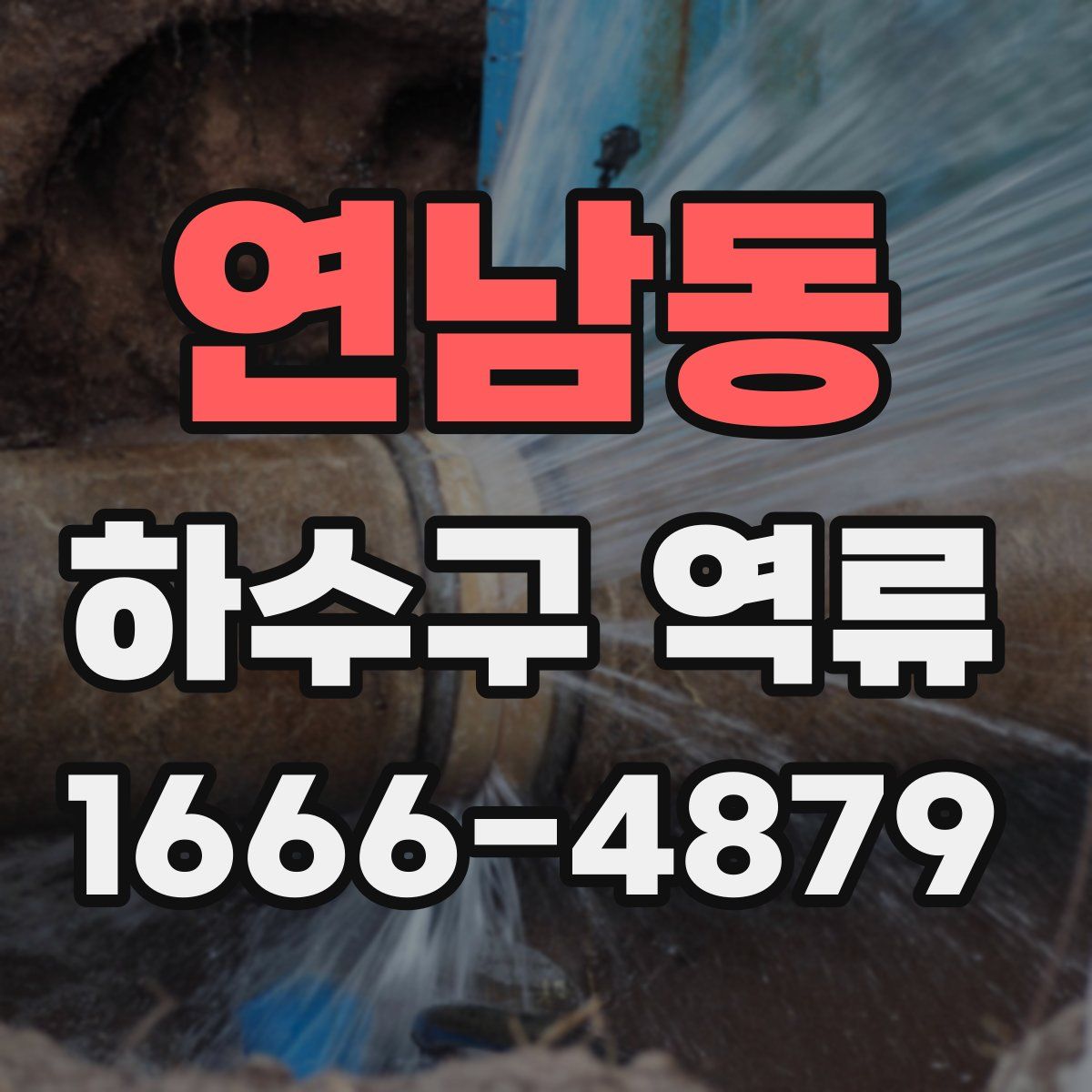 연남동 하수구 역류