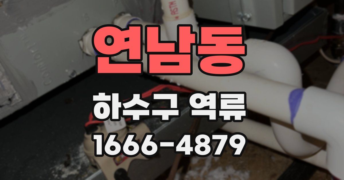 연남동 하수구 역류