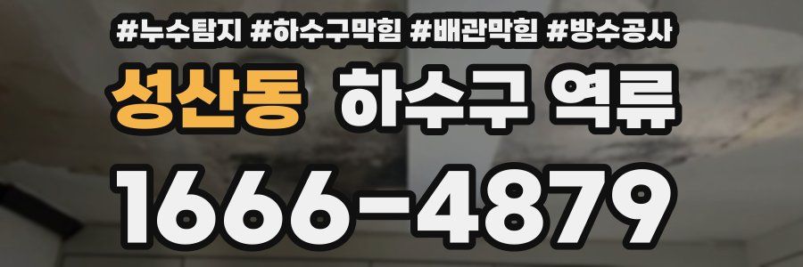 성산동 하수구 역류