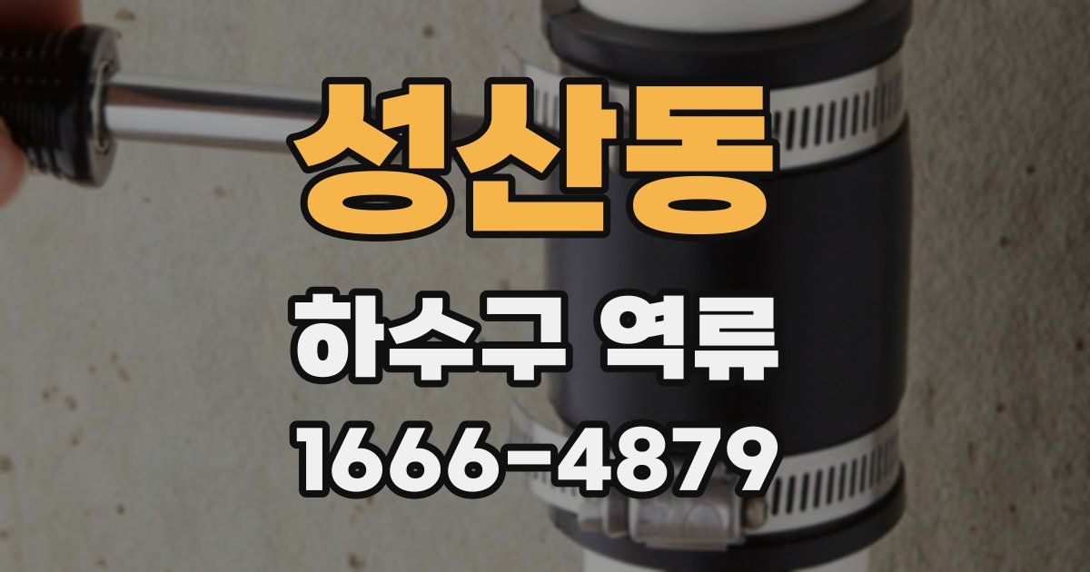 성산동 하수구 역류