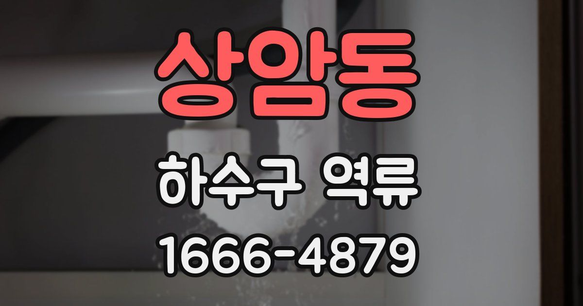 상암동 하수구 역류