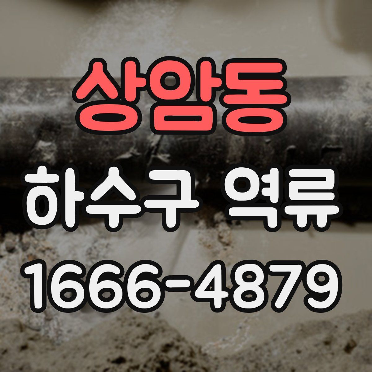 상암동 하수구 역류