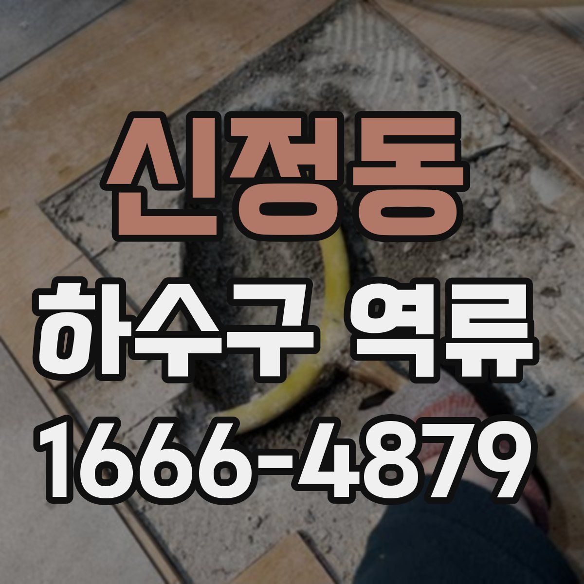 신정동 하수구 역류