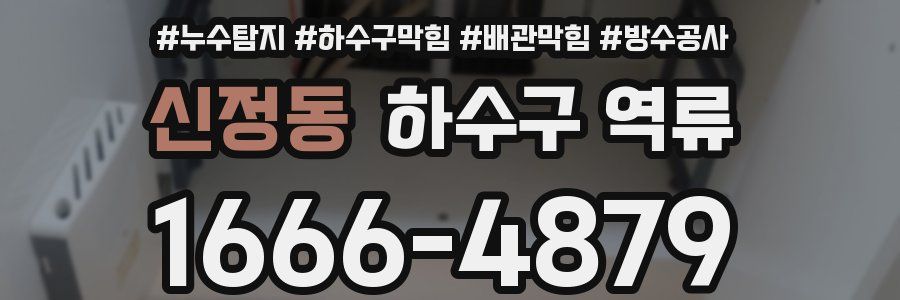 신정동 하수구 역류