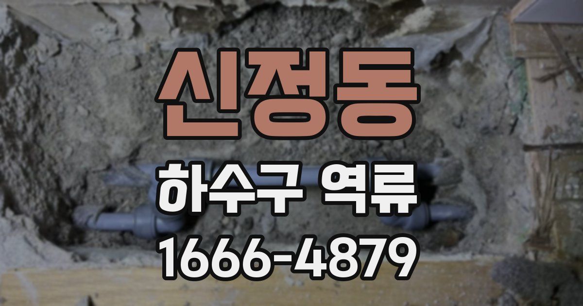 신정동 하수구 역류