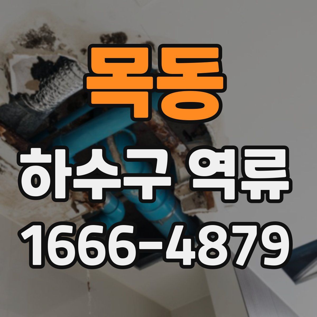 목동 하수구 역류