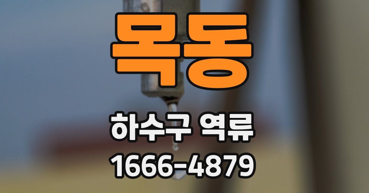 목동 하수구 역류