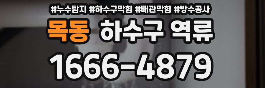 목동 하수구 역류