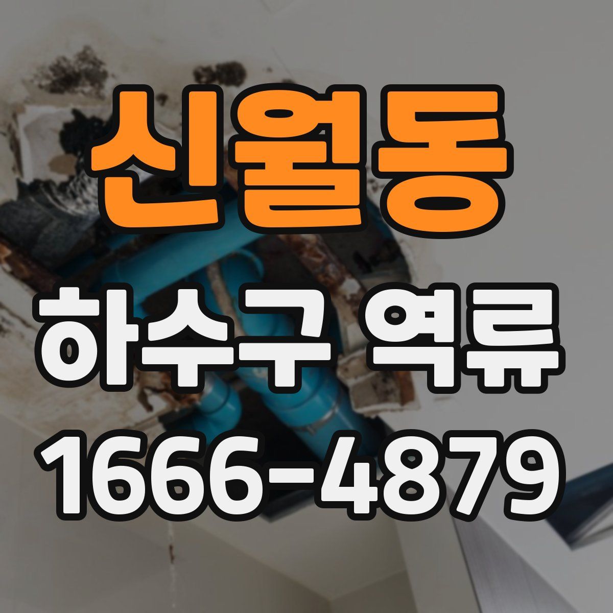 신월동 하수구 역류