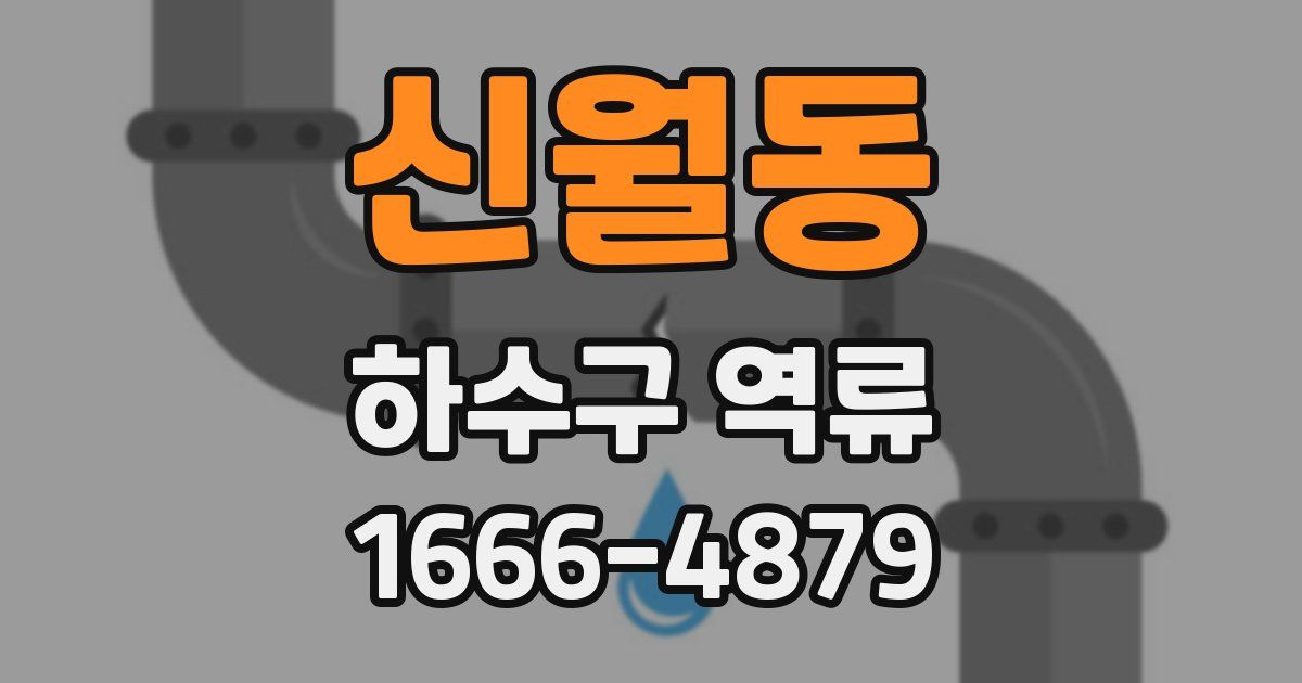 신월동 하수구 역류