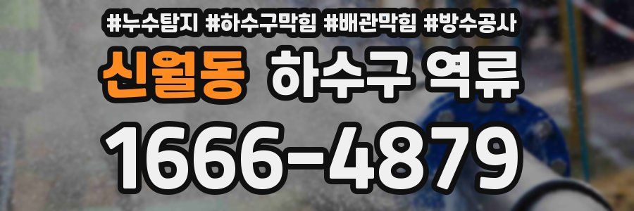 신월동 하수구 역류
